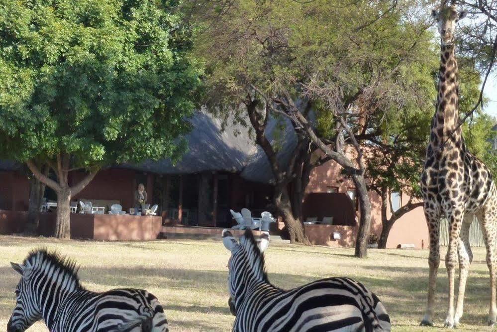 Zebras Crossing Private Game Lodge Modimolle Eksteriør bilde