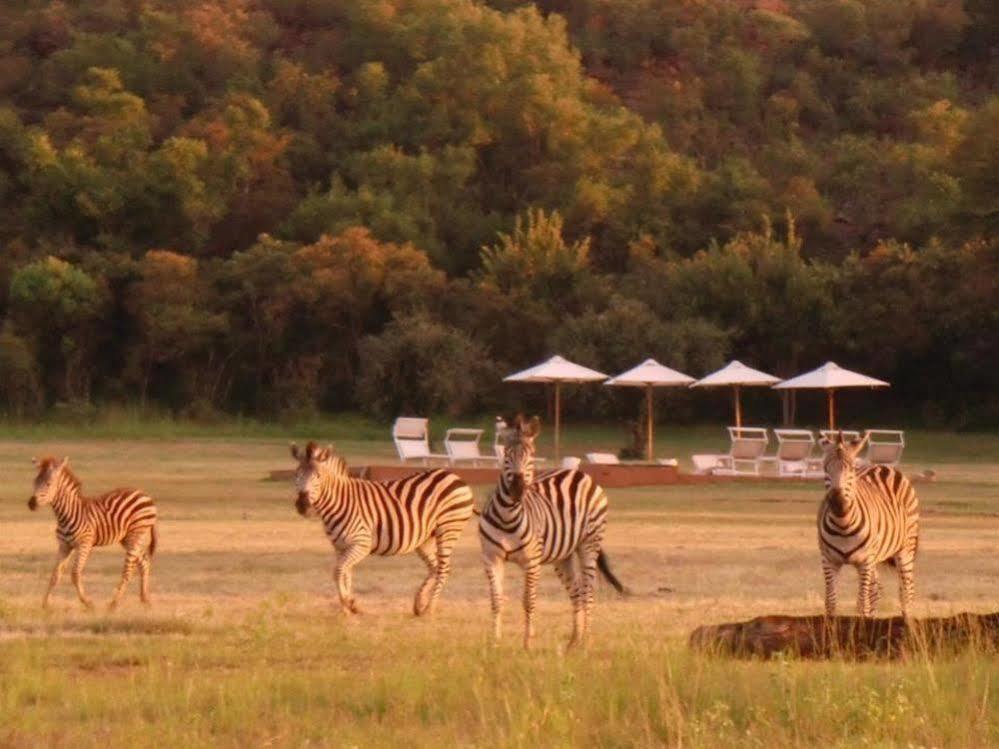 Zebras Crossing Private Game Lodge Modimolle Eksteriør bilde