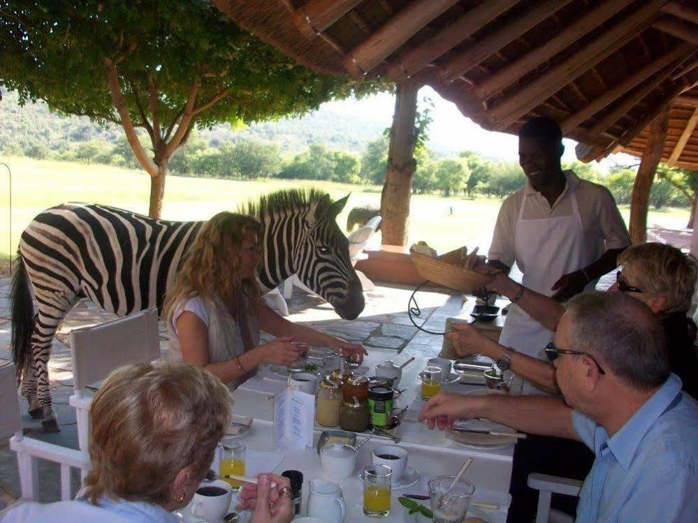 Zebras Crossing Private Game Lodge Modimolle Eksteriør bilde